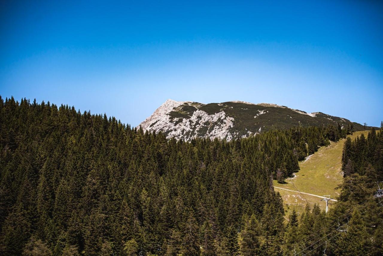 Apartments Zvoh, Krvavec, Ski-In, Ski-Out Cerklje na Gorenjskem Bagian luar foto
